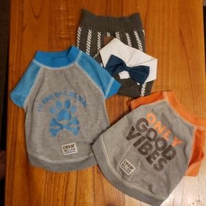 Dog Tshirts and Sweater